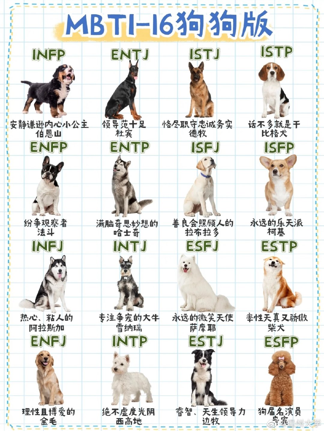 「人類版MBTI」就睇得多，你哋又幾熟悉你哋毛孩嘅性格呢？