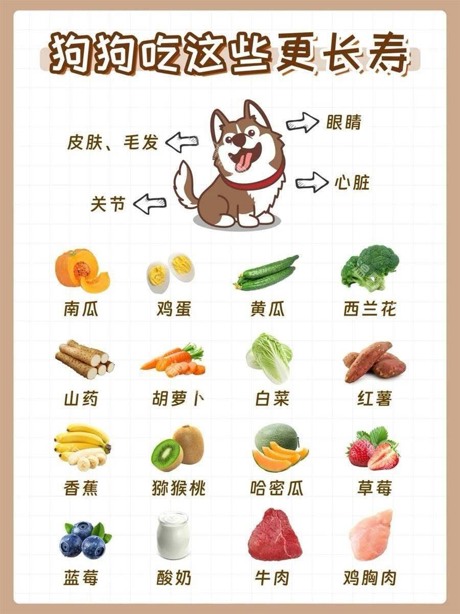 你們知道狗狗吃什麼會更長壽嗎？